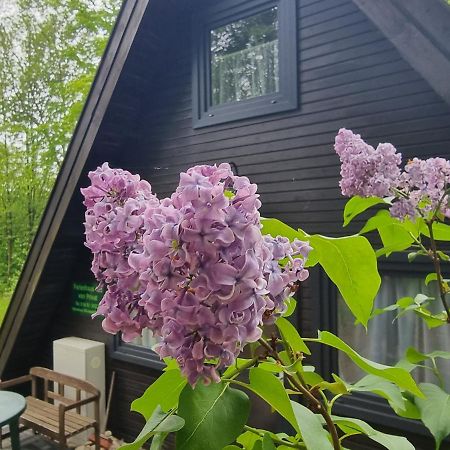 Ferienhaus Marie 125 Bad Arolsen Εξωτερικό φωτογραφία