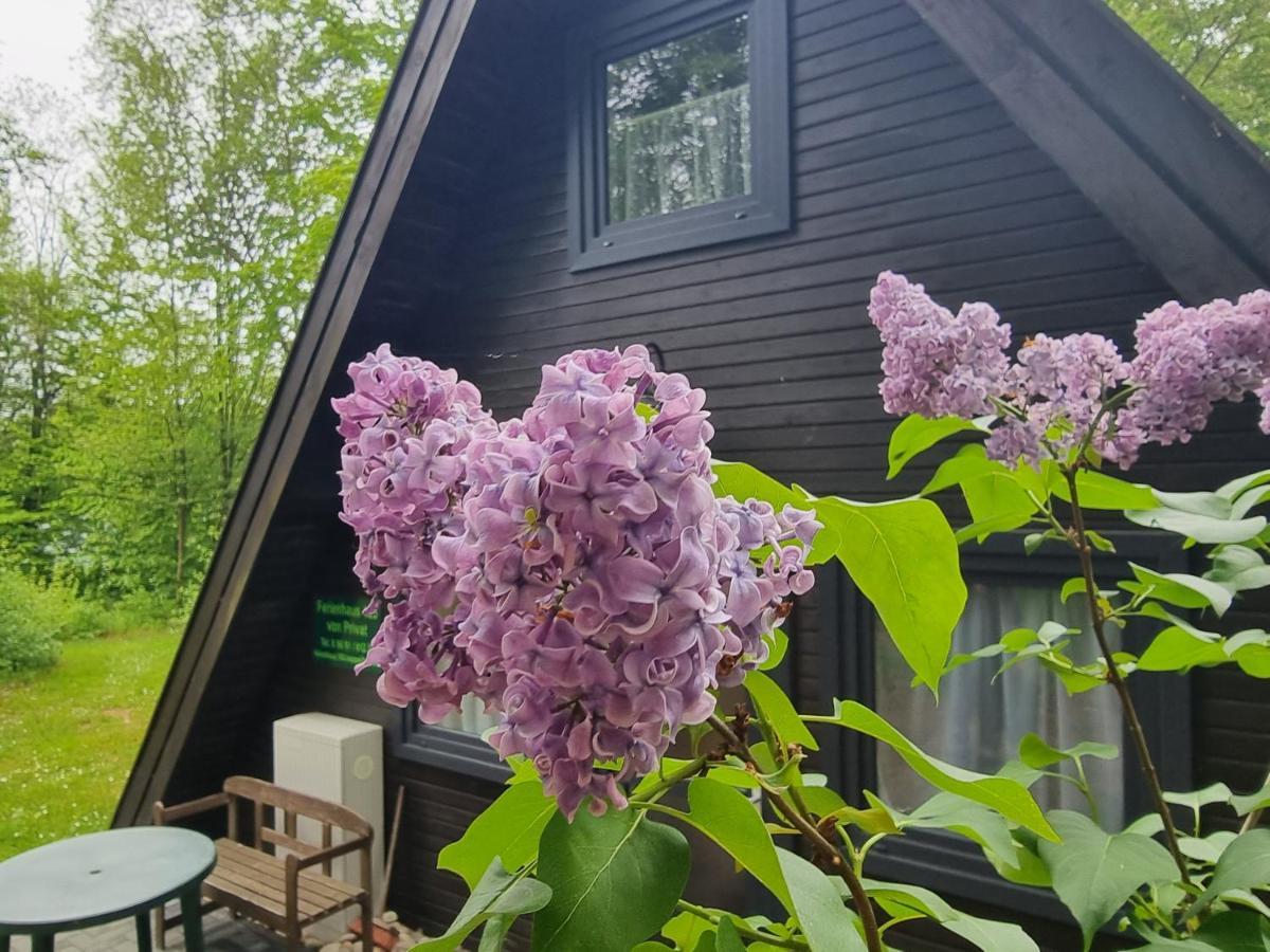 Ferienhaus Marie 125 Bad Arolsen Εξωτερικό φωτογραφία